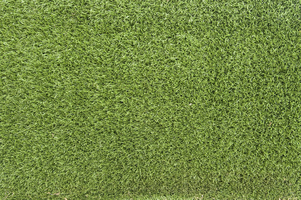 Grass Texture 02 by SimoonMurray