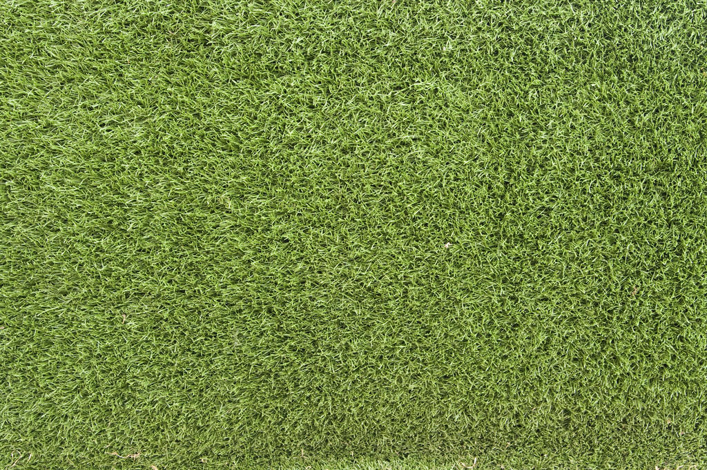 Grass Texture 02