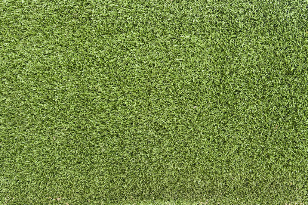 Grass Texture 02