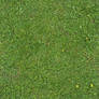 Seamless Green Grass Texture 01