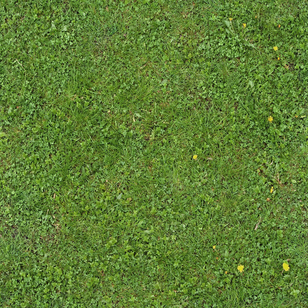 Seamless Green Grass Texture 01 by SimoonMurray
