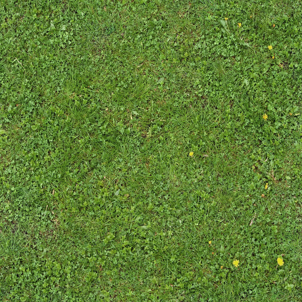 Seamless Green Grass Texture 01