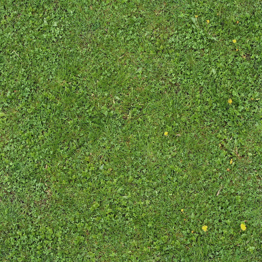 Seamless Green Grass Texture 01 by SimoonMurray