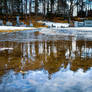 Cemetery Reflection