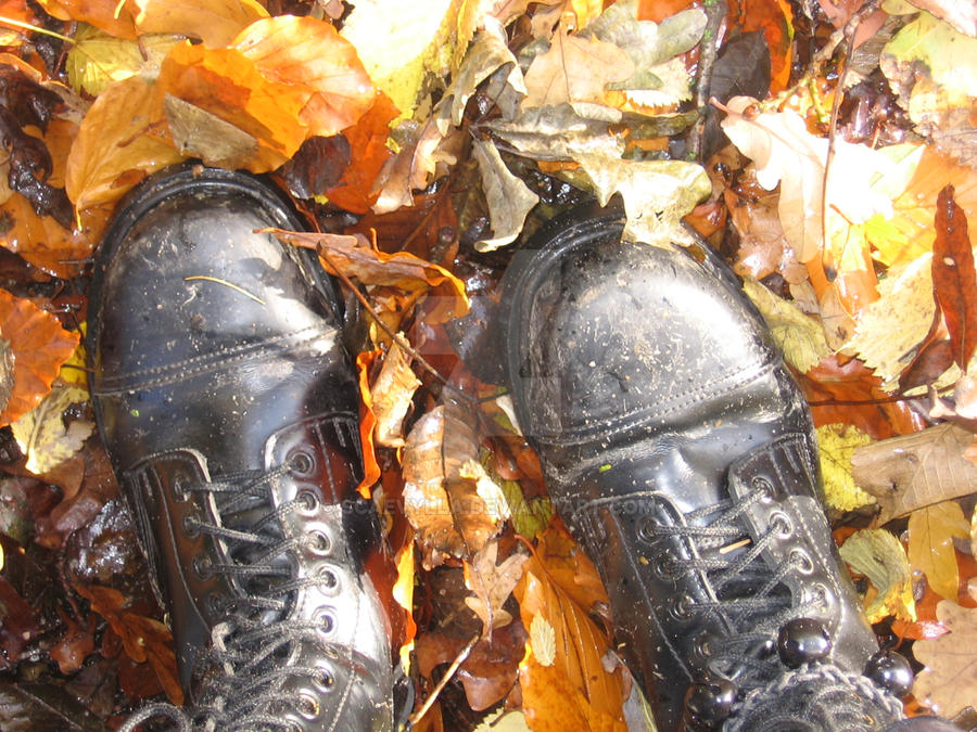 Boots and leaves