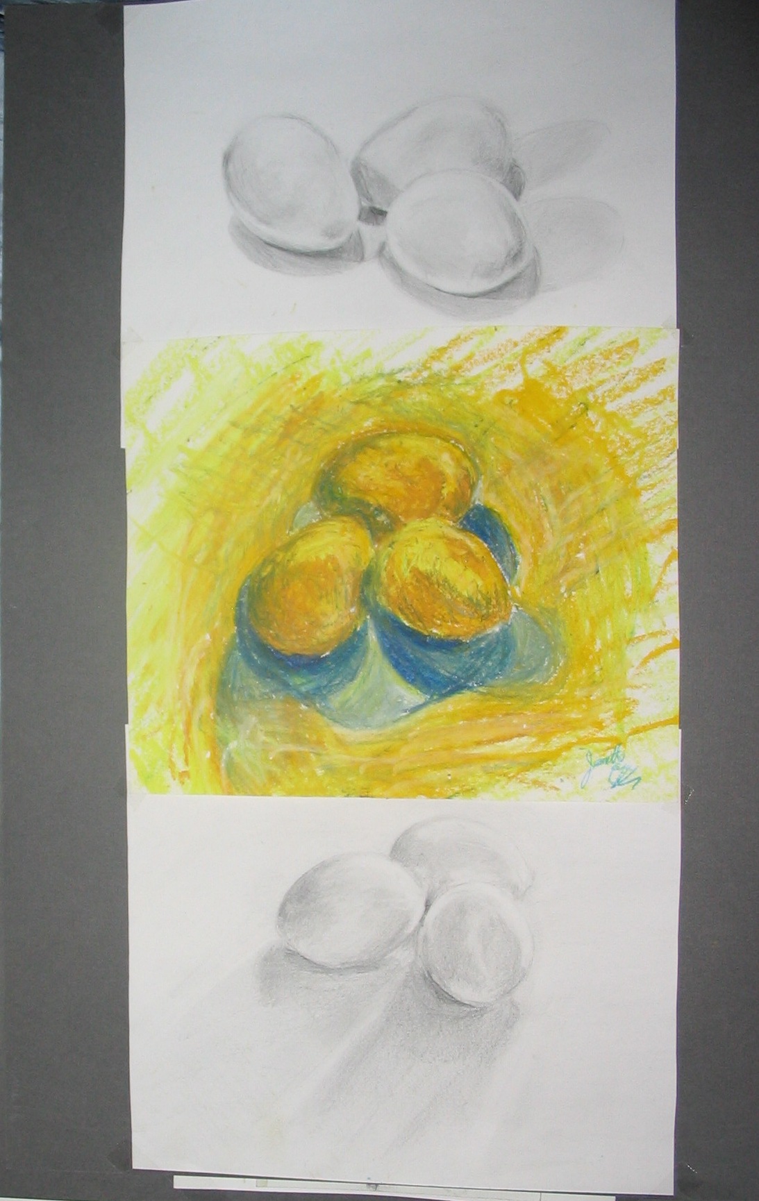 Egg Study