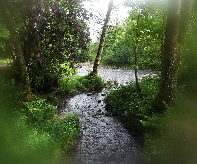 river idyll