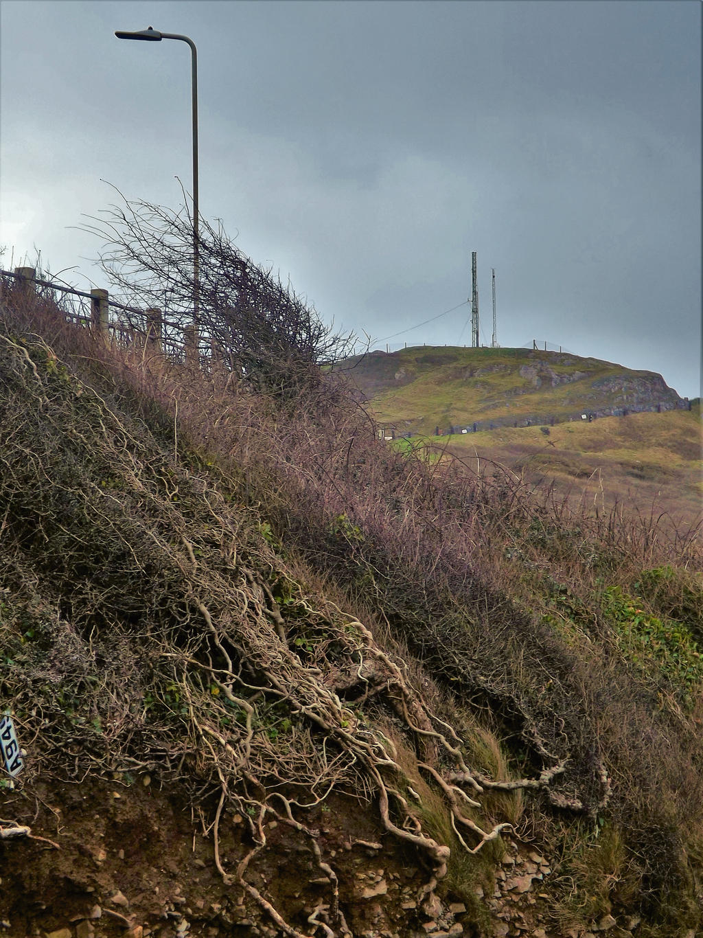 a rootsy approach to a hill