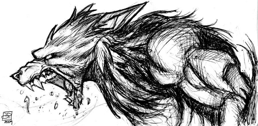 Werewolf Sketch by Kenpudiosaki on DeviantArt