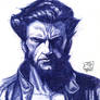 Jackman Wolvie Sketch