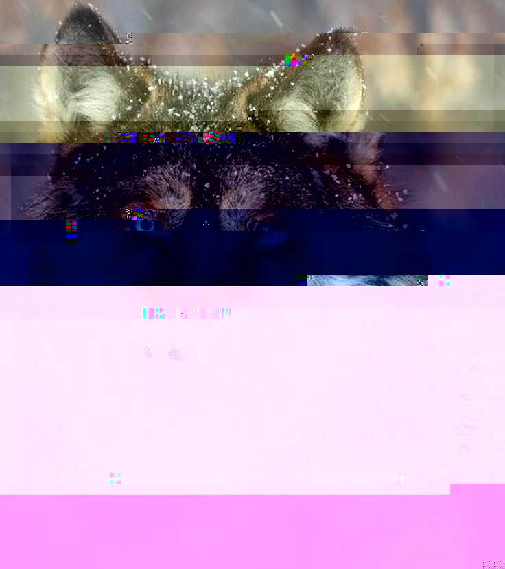 Currupted Image Corrupted Image by CorruptionGenerator on DeviantArt