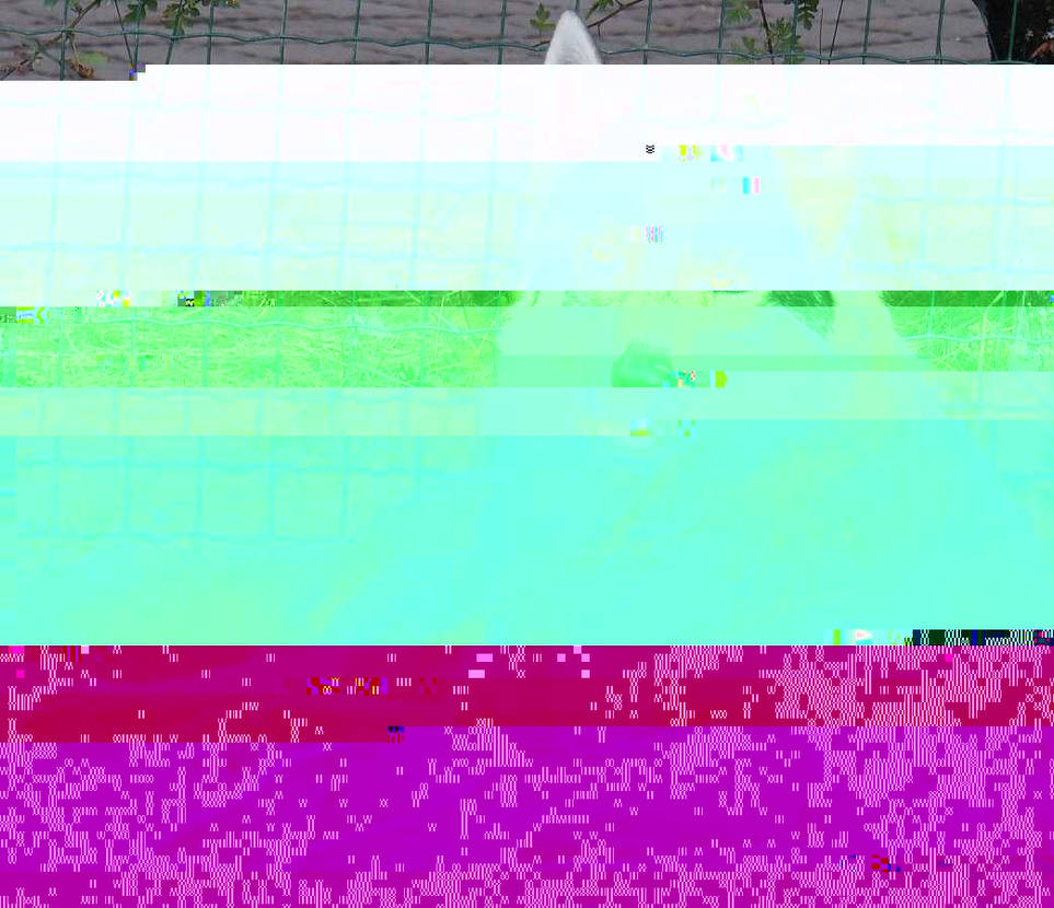 Currupted Image Corrupted Image by CorruptionGenerator on DeviantArt