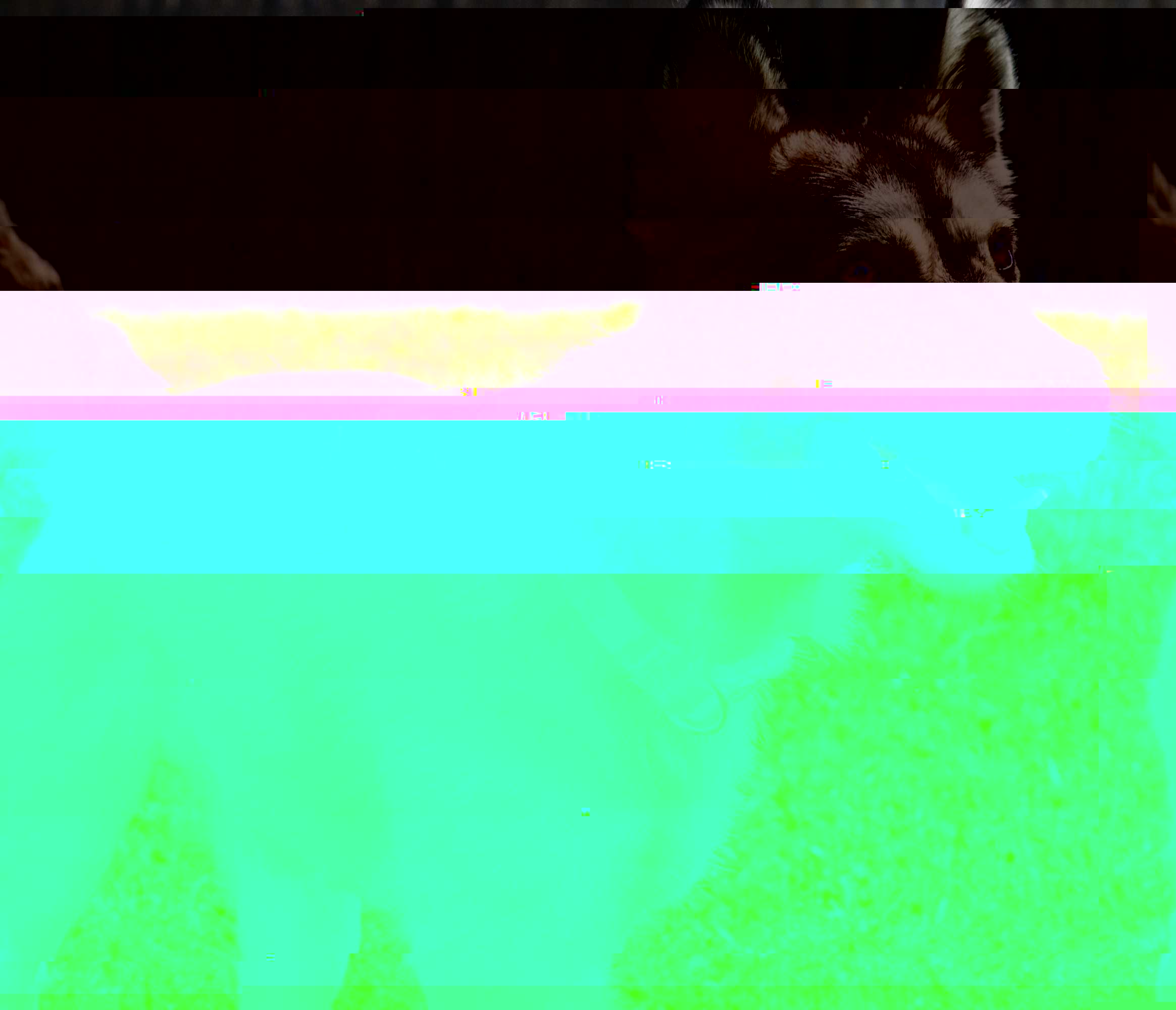 Currupted Image Corrupted Image by CorruptionGenerator on DeviantArt