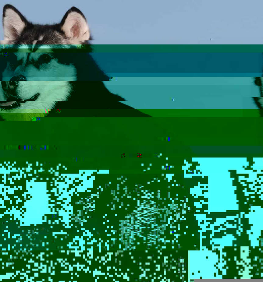 Currupted Image Corrupted Image by CorruptionGenerator on DeviantArt