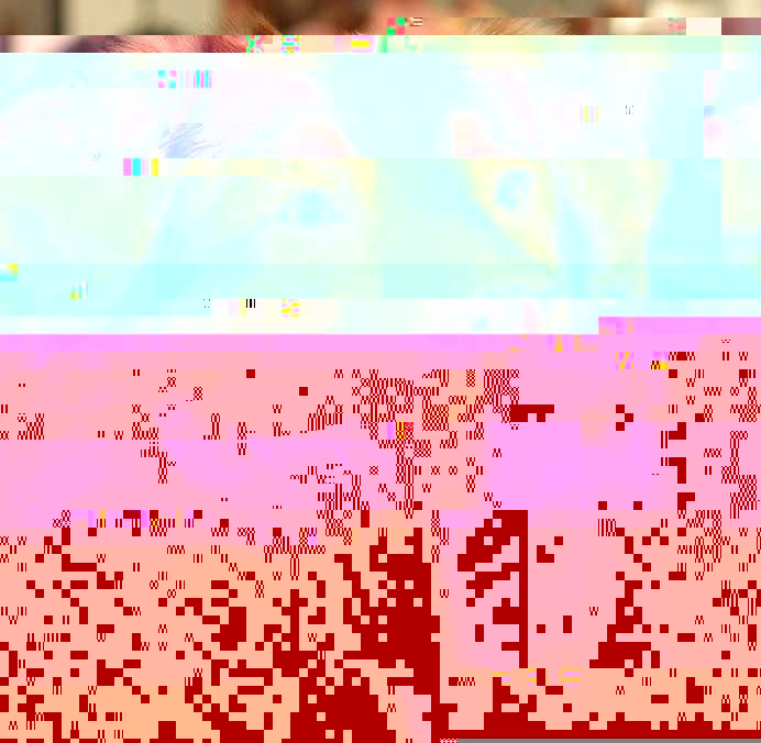 Currupted Image Corrupted Image by CorruptionGenerator on DeviantArt