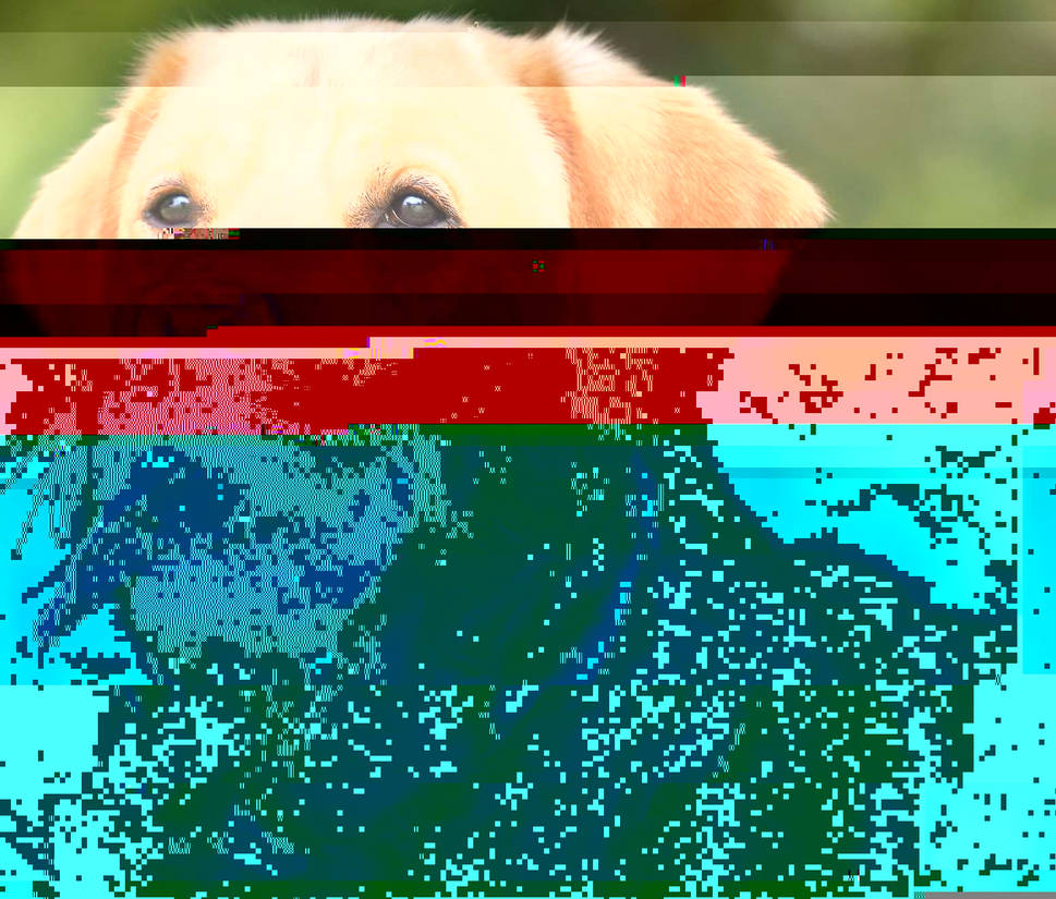Currupted Image Corrupted Image by CorruptionGenerator on DeviantArt