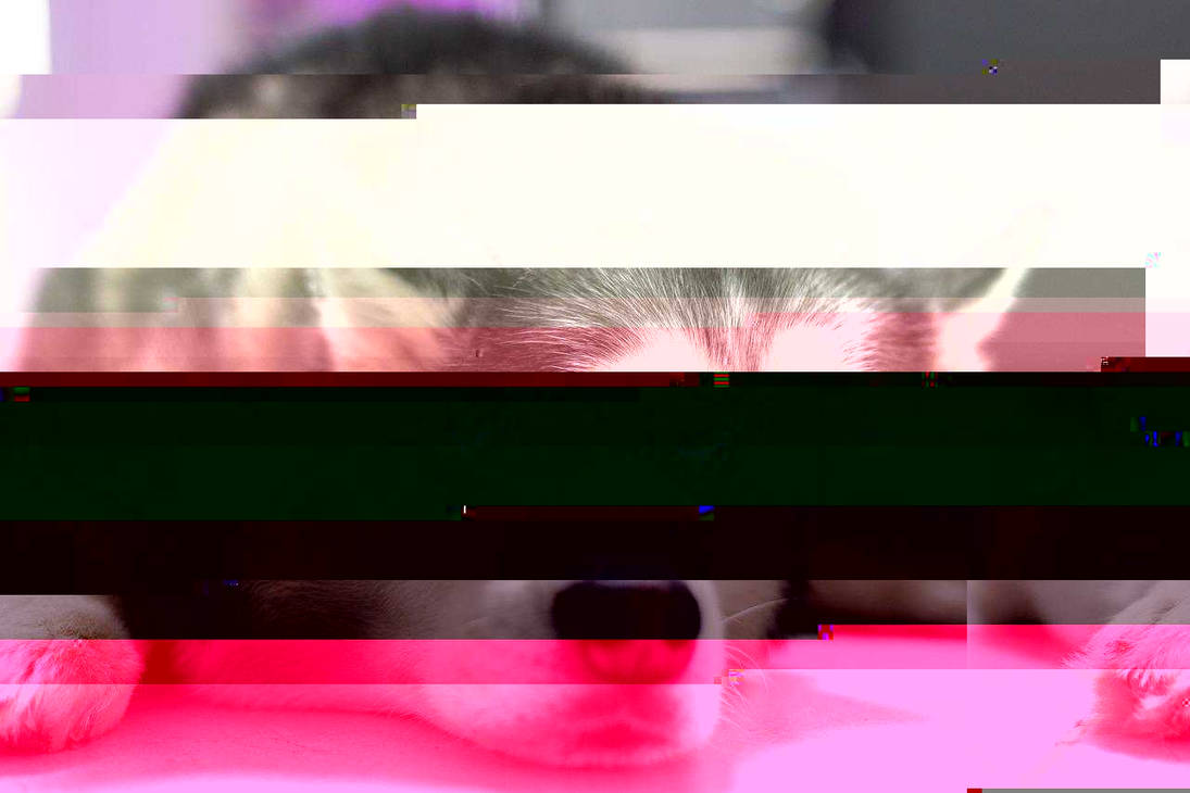 Currupted Image Corrupted Image by CorruptionGenerator on DeviantArt