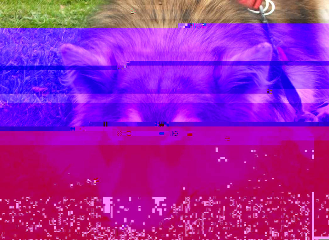 Currupted Image Corrupted Image by CorruptionGenerator on DeviantArt