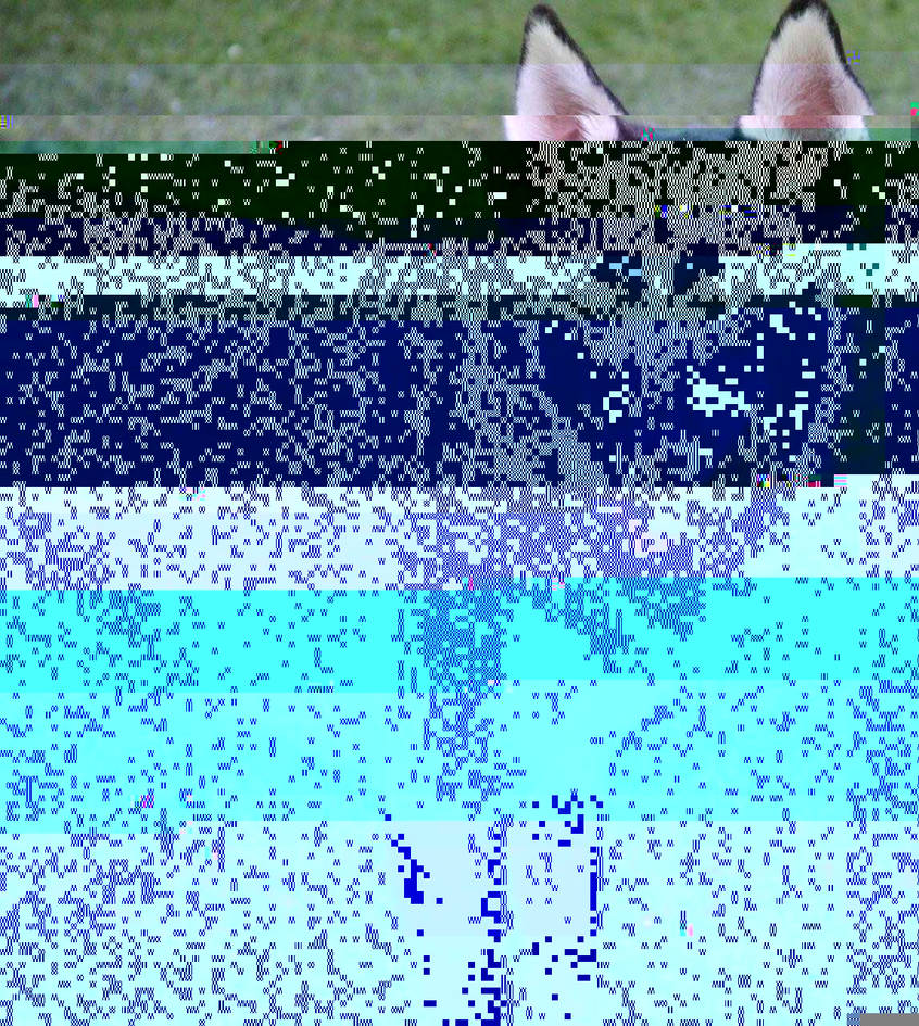 Currupted Image Corrupted Image by CorruptionGenerator on DeviantArt