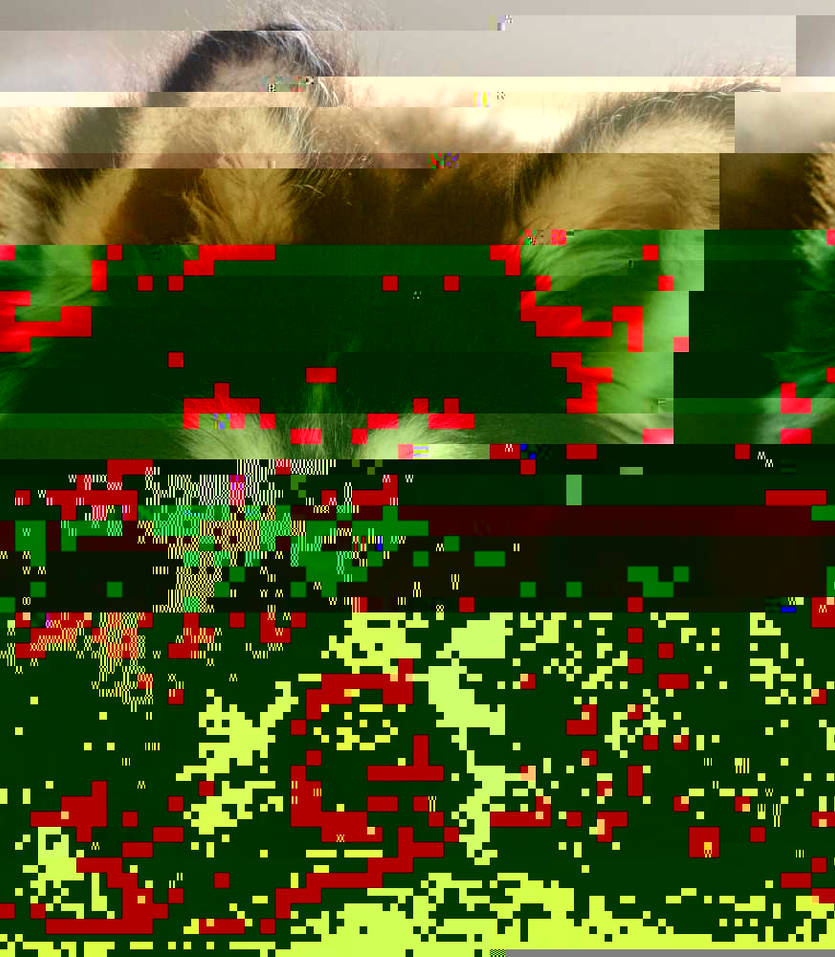 Currupted Image Corrupted Image by CorruptionGenerator on DeviantArt