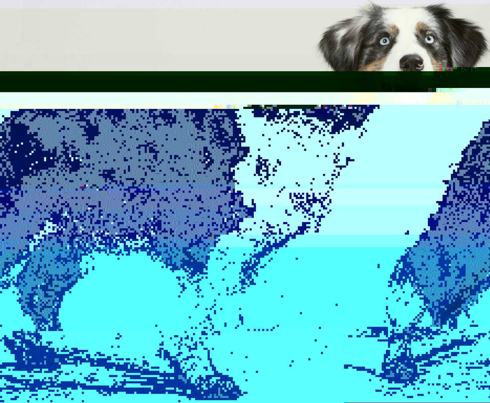 Currupted Image Corrupted Image by CorruptionGenerator on DeviantArt