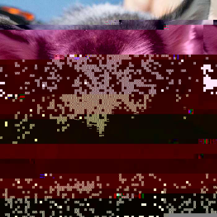Currupted Image Corrupted Image by CorruptionGenerator on DeviantArt