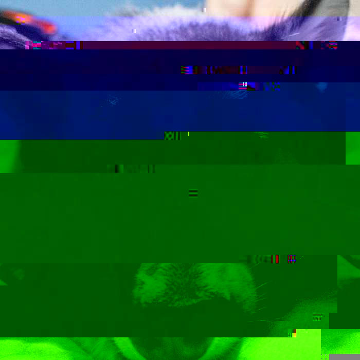 Currupted Image Corrupted Image by CorruptionGenerator on DeviantArt
