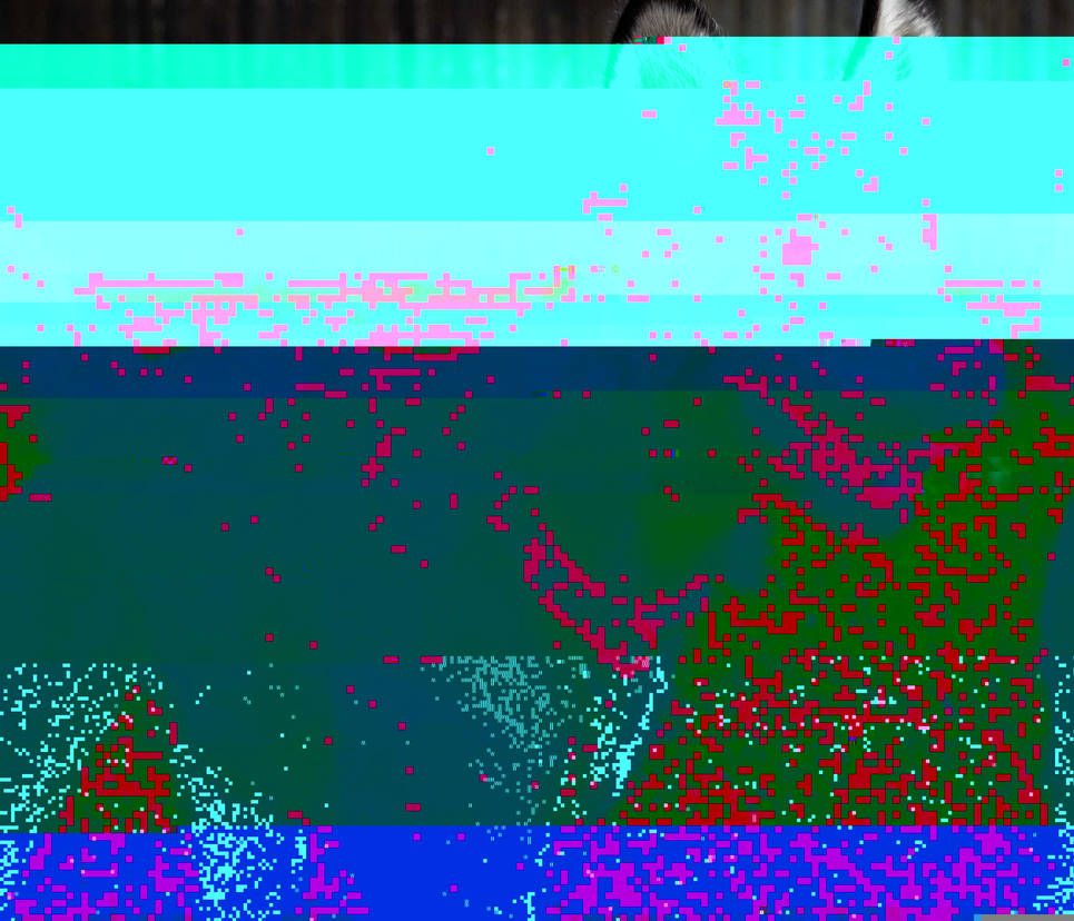 Currupted Image Corrupted Image by CorruptionGenerator on DeviantArt