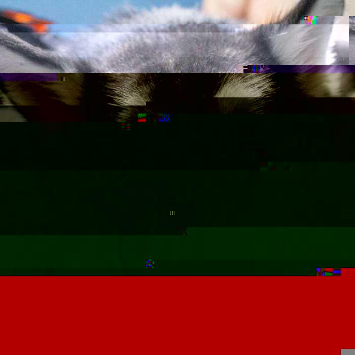 Currupted Image Corrupted Image by CorruptionGenerator on DeviantArt