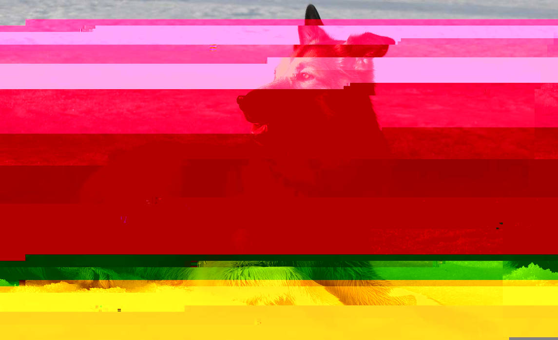 Currupted Image Corrupted Image by CorruptionGenerator on DeviantArt