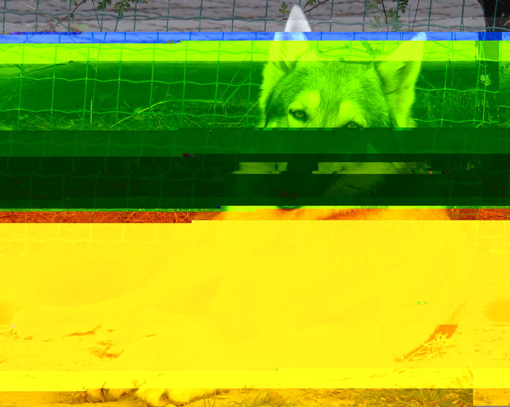 Currupted Image Corrupted Image by CorruptionGenerator on DeviantArt