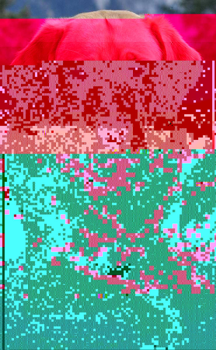 Currupted Image Corrupted Image by CorruptionGenerator on DeviantArt