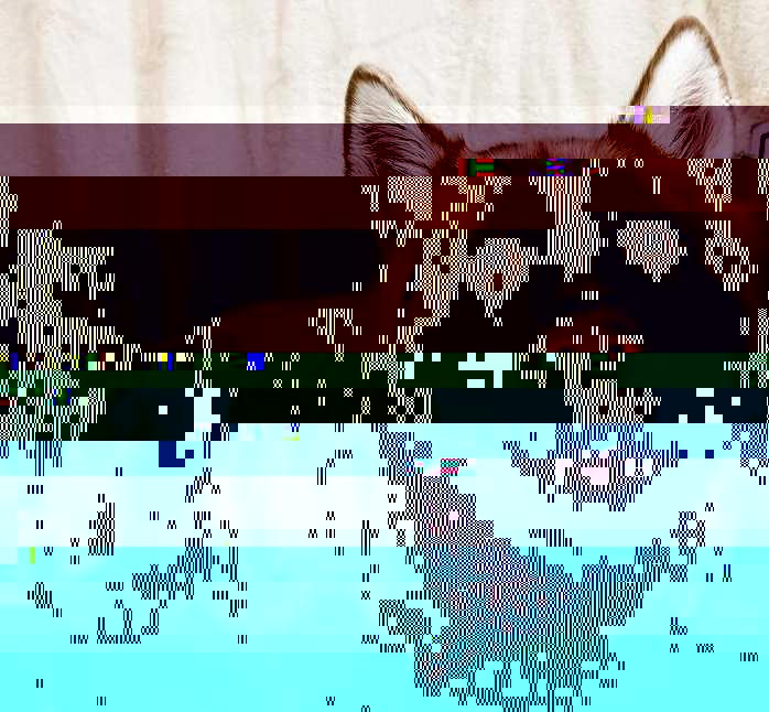 Currupted Image Corrupted Image by CorruptionGenerator on DeviantArt
