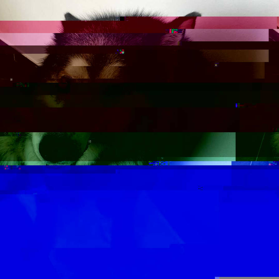 Currupted Image Corrupted Image by CorruptionGenerator on DeviantArt