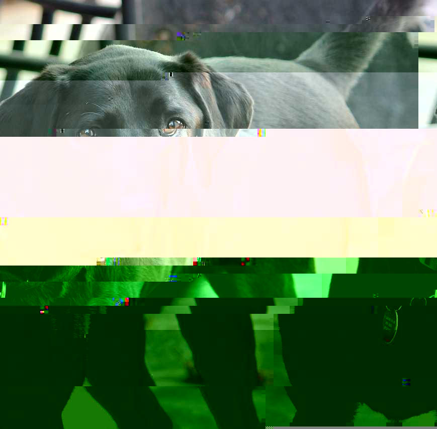 Currupted Image Corrupted Image by CorruptionGenerator on DeviantArt