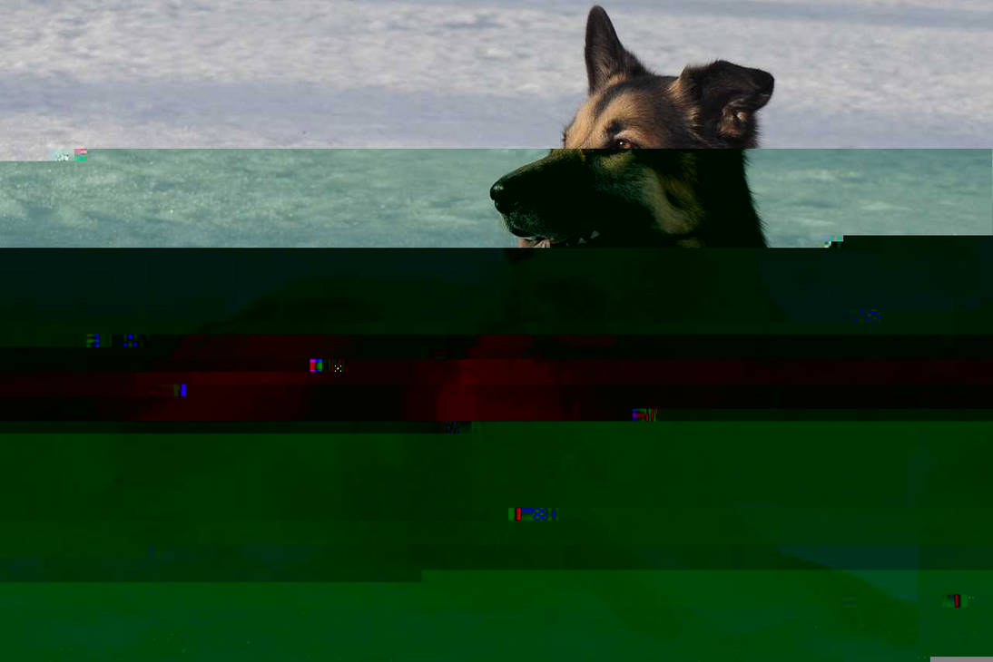 Currupted Image Corrupted Image by CorruptionGenerator on DeviantArt