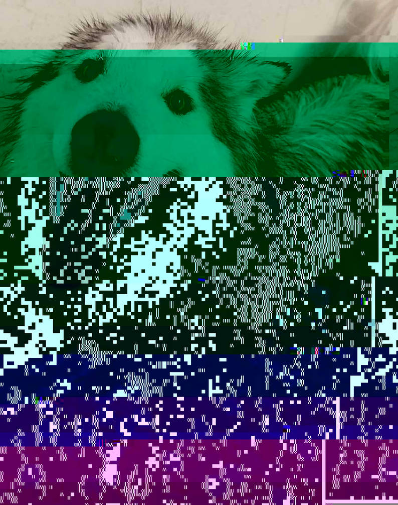 Currupted Image Corrupted Image by CorruptionGenerator on DeviantArt