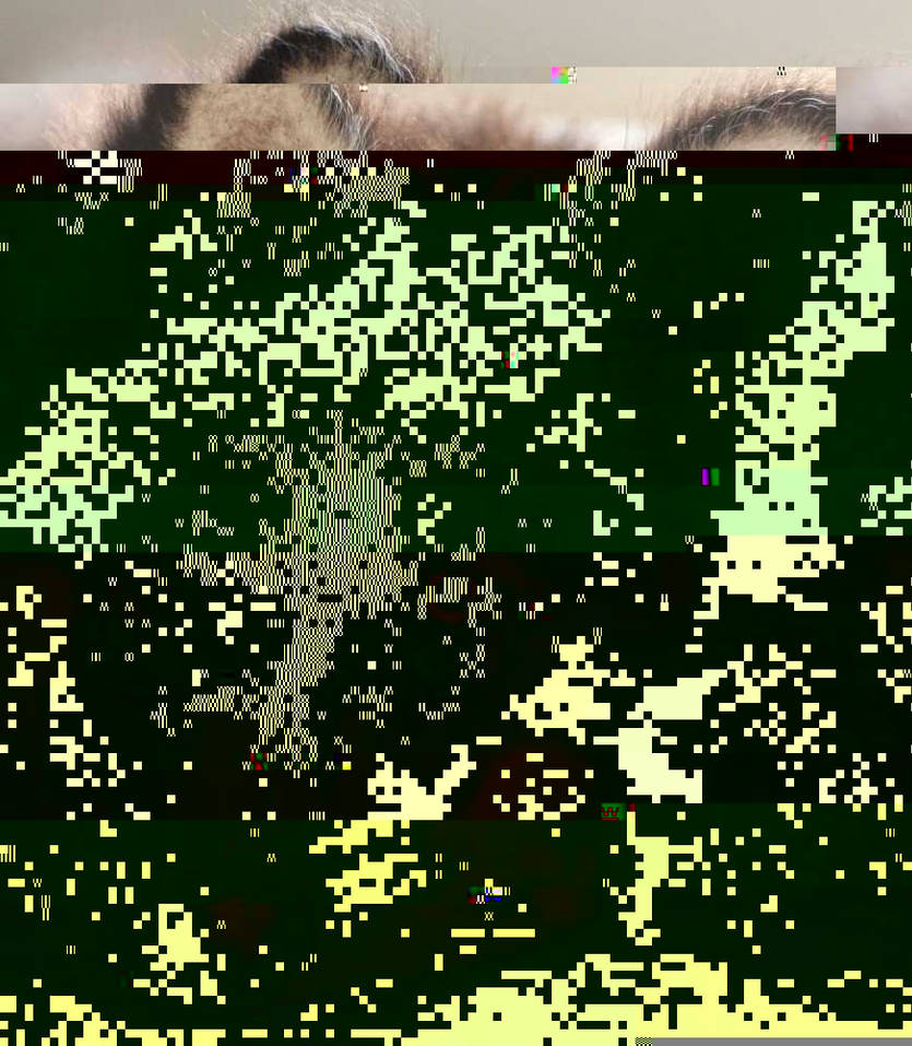 Currupted Image Corrupted Image by CorruptionGenerator on DeviantArt