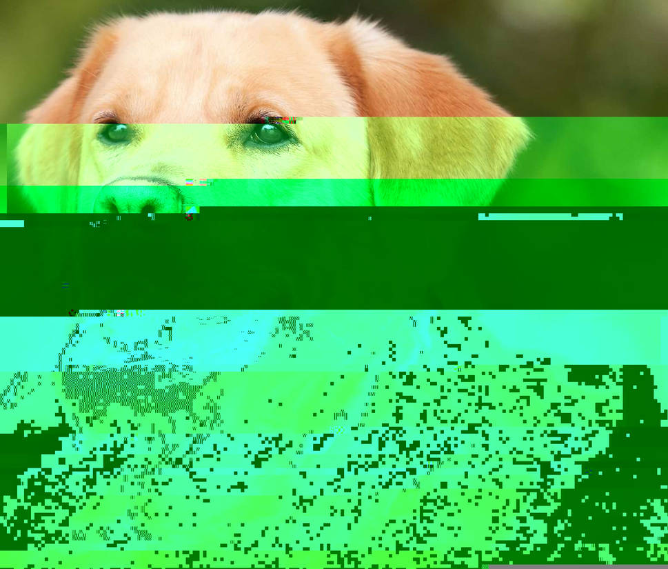 Currupted Image Corrupted Image by CorruptionGenerator on DeviantArt