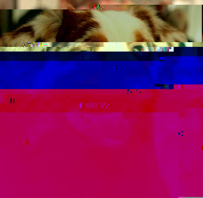 Currupted Image Corrupted Image by CorruptionGenerator on DeviantArt