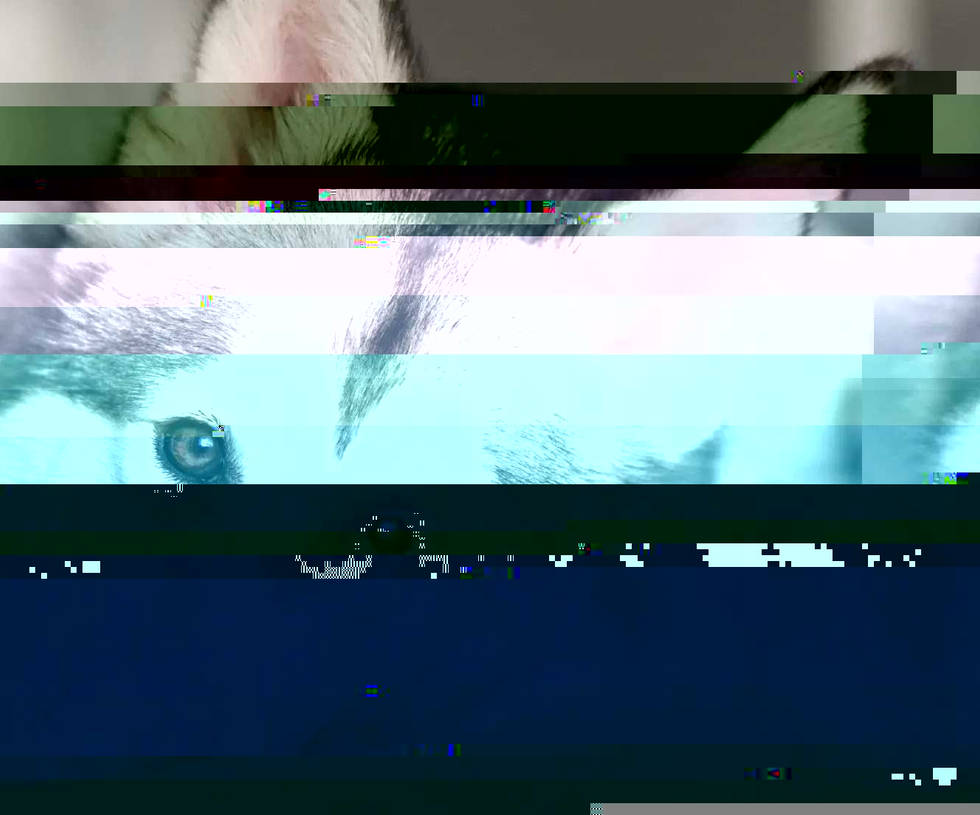 Currupted Image Corrupted Image by CorruptionGenerator on DeviantArt