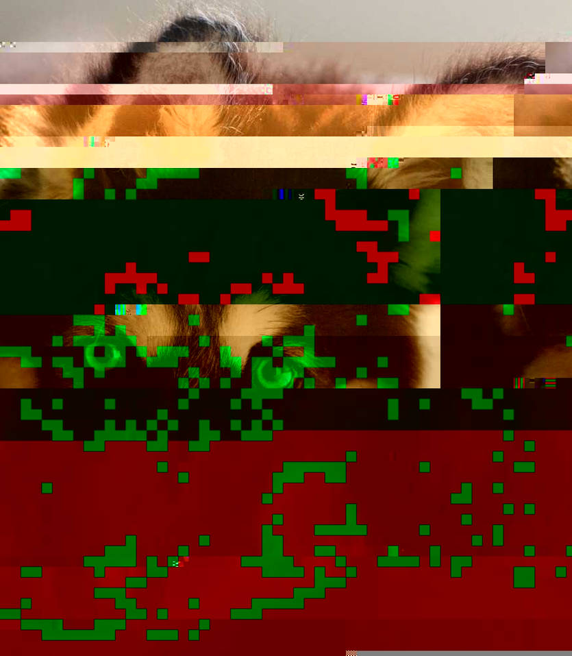 Currupted Image Corrupted Image by CorruptionGenerator on DeviantArt