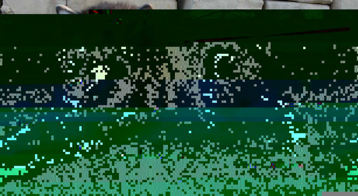 Currupted Image Corrupted Image by CorruptionGenerator on DeviantArt