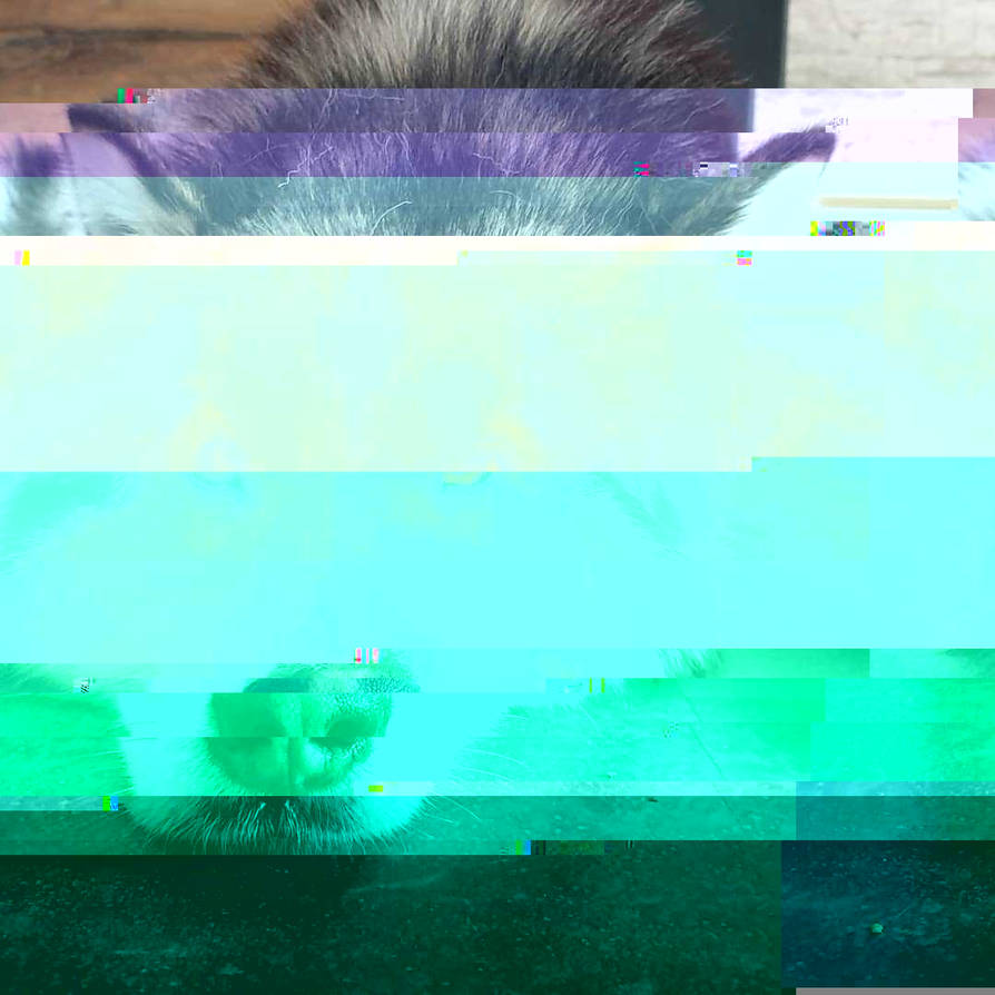 Currupted Image Corrupted Image by CorruptionGenerator on DeviantArt
