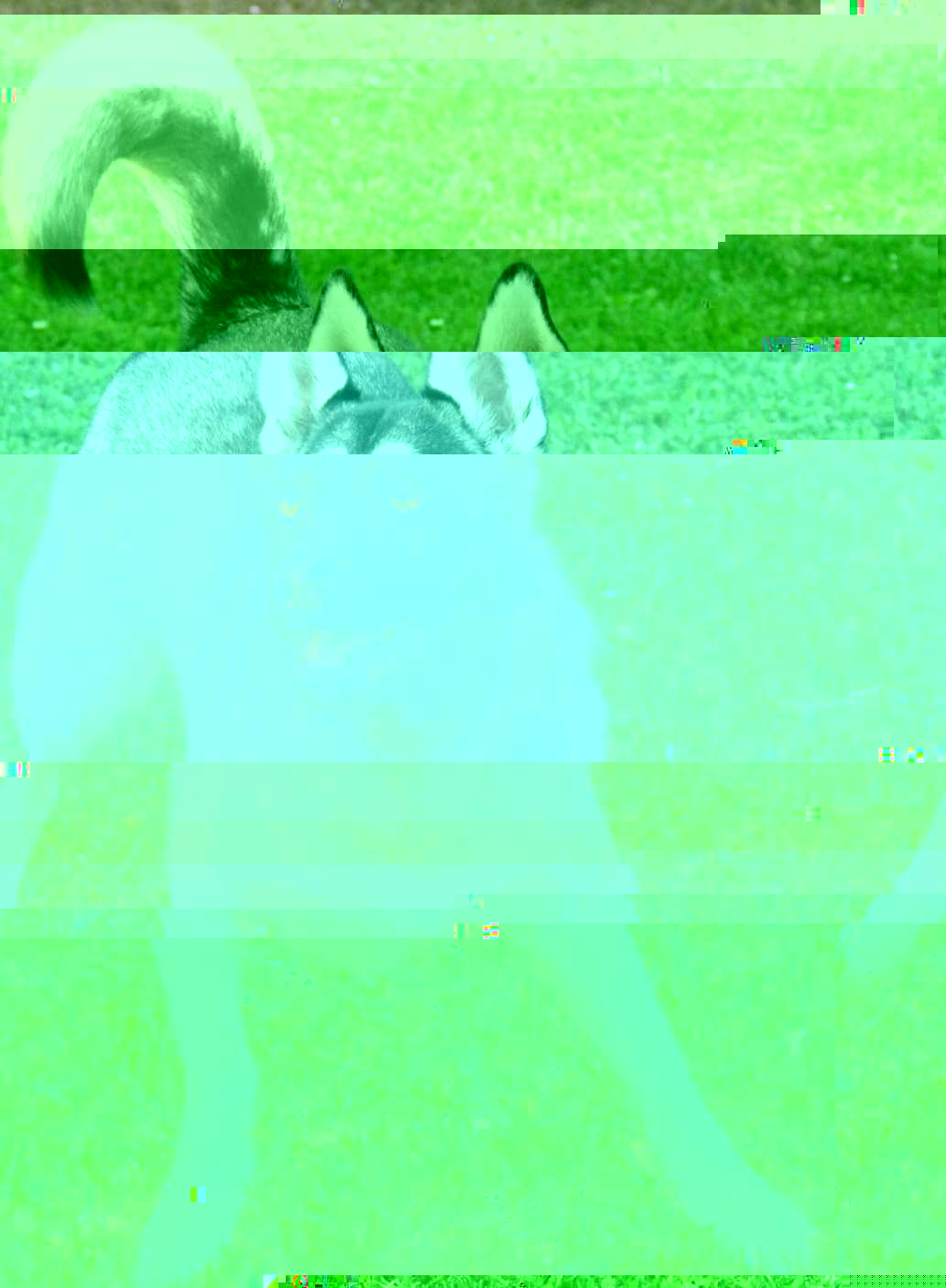 Currupted Image Corrupted Image by CorruptionGenerator on DeviantArt