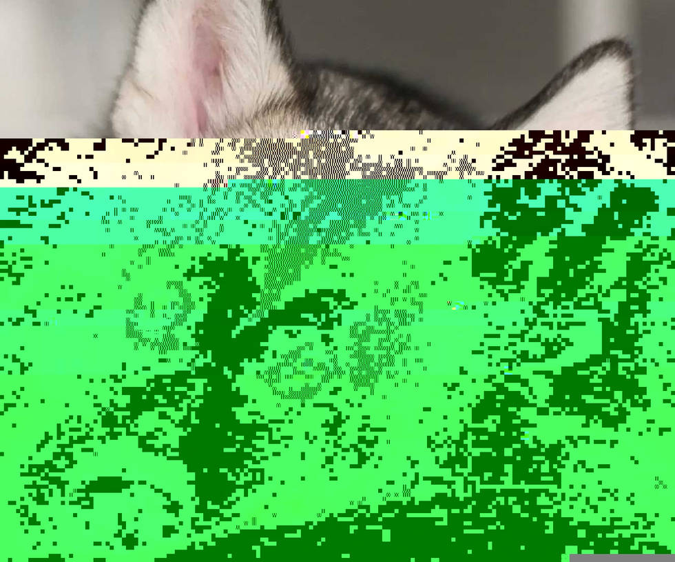Currupted Image Corrupted Image by CorruptionGenerator on DeviantArt