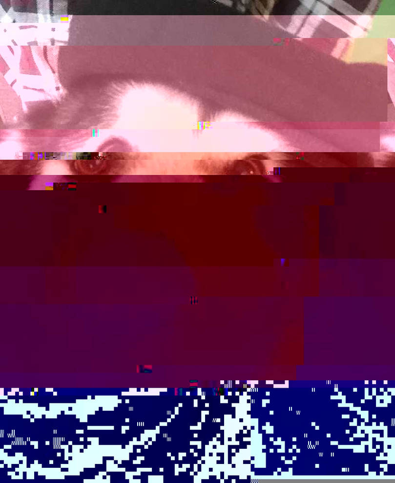 Currupted Image Corrupted Image by CorruptionGenerator on DeviantArt