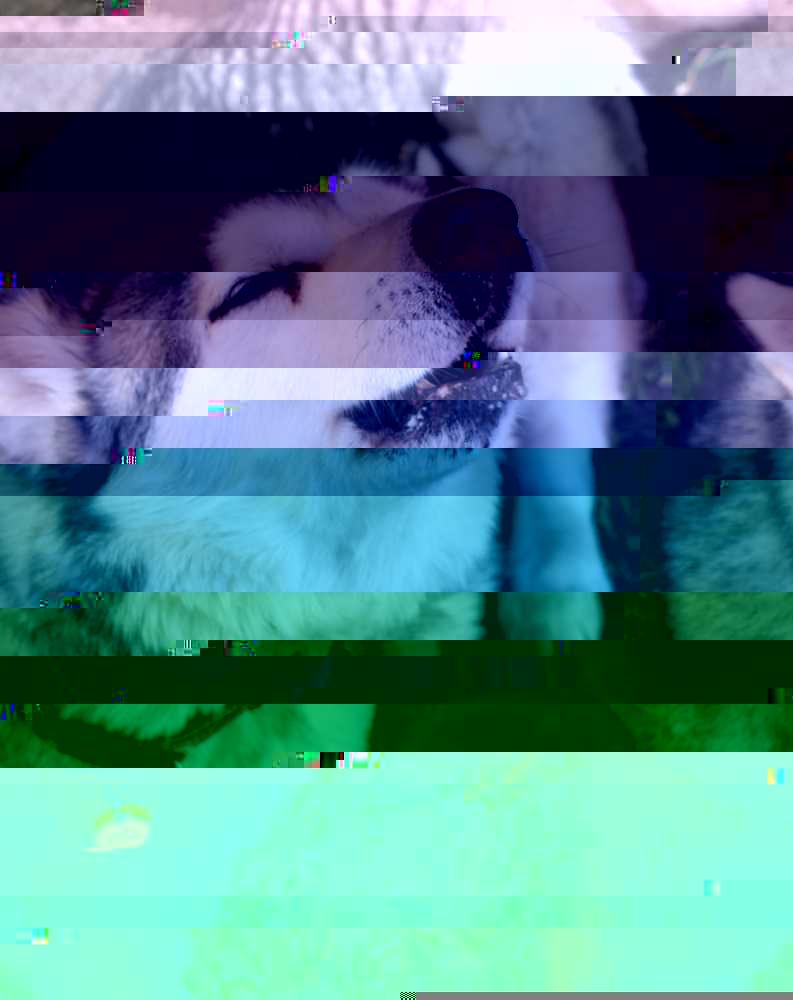 Currupted Image Corrupted Image by CorruptionGenerator on DeviantArt