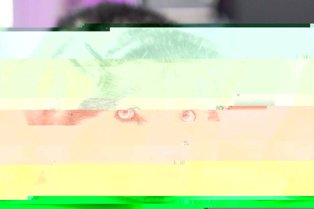 Currupted Image Corrupted Image by CorruptionGenerator on DeviantArt