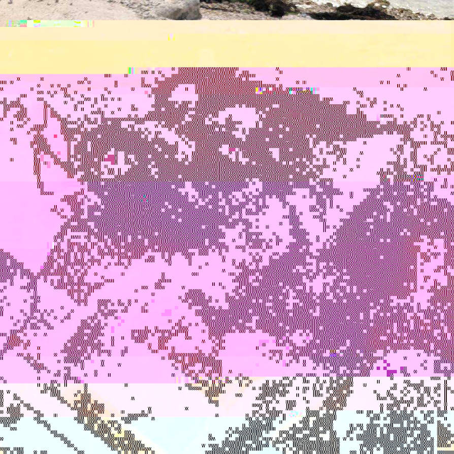 Currupted Image Corrupted Image by CorruptionGenerator on DeviantArt